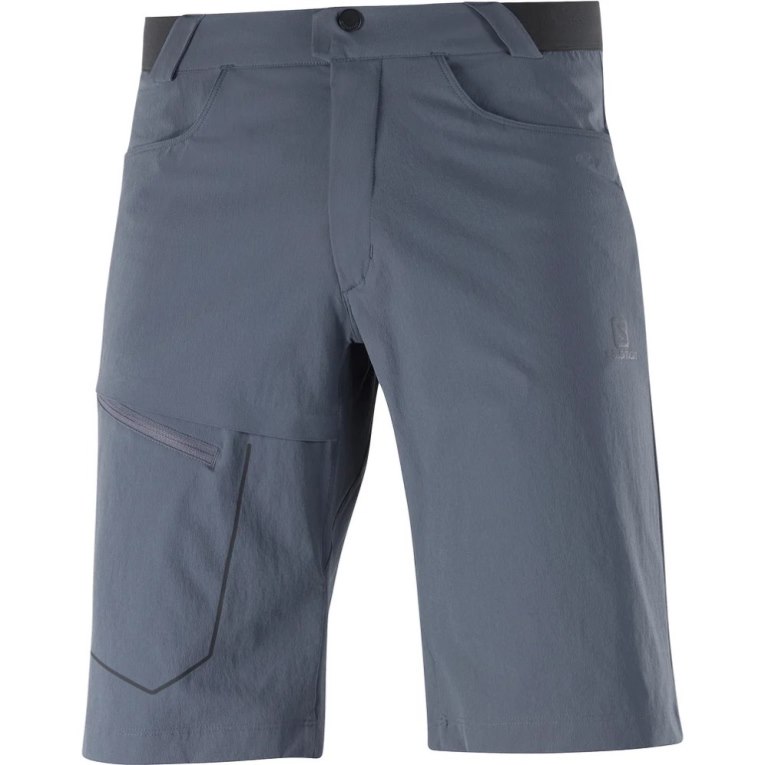 Navy Salomon Wayfarer Men's Shorts | PH 23459F